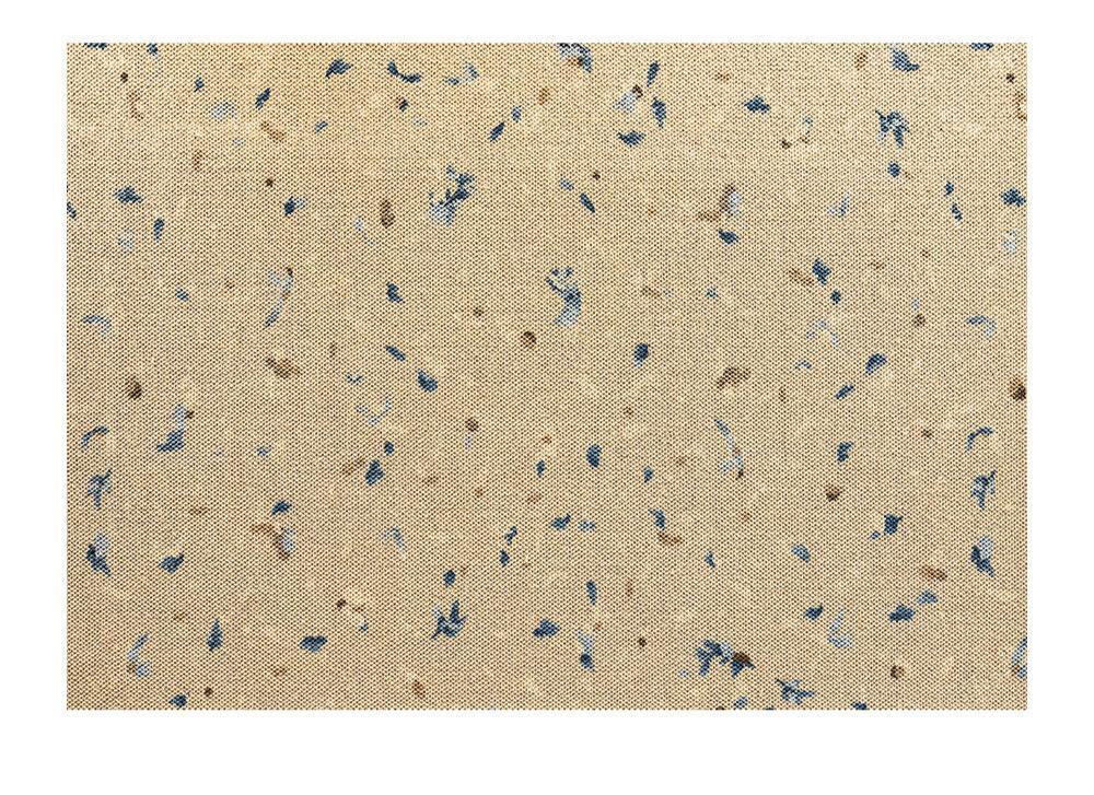 Mulantique Natural Woven Wool Rug - Blue Floral Design - Mulantique